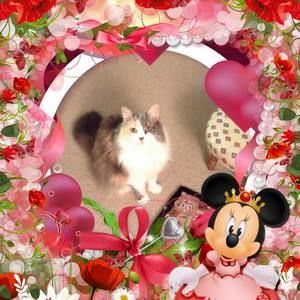 Meet your Posher, Kim